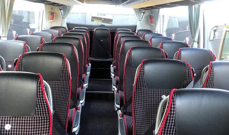 France: Coach booking in Auvergne-Rhône-Alpes in Auvergne-Rhône-Alpes and Saint-Étienne